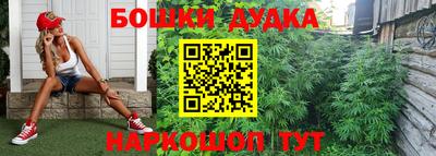 гидропоника Кулебаки