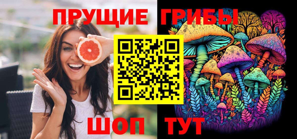 Гусев  Галлюциногенные грибы GOLDEN TEACHER  Вход с VPN 